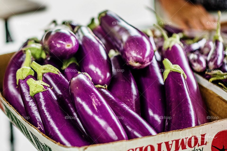 Eggplant Purple