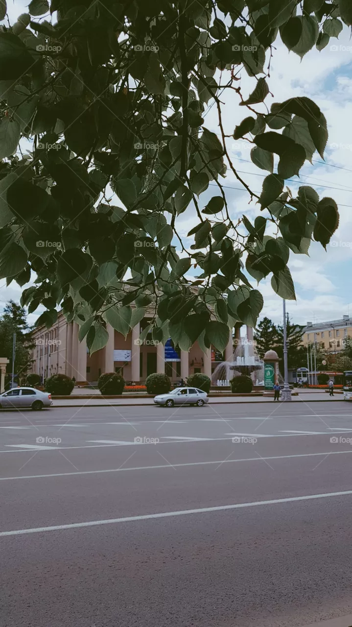 park