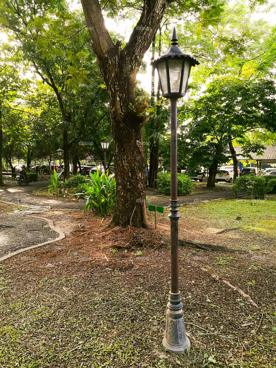 View of lamppost