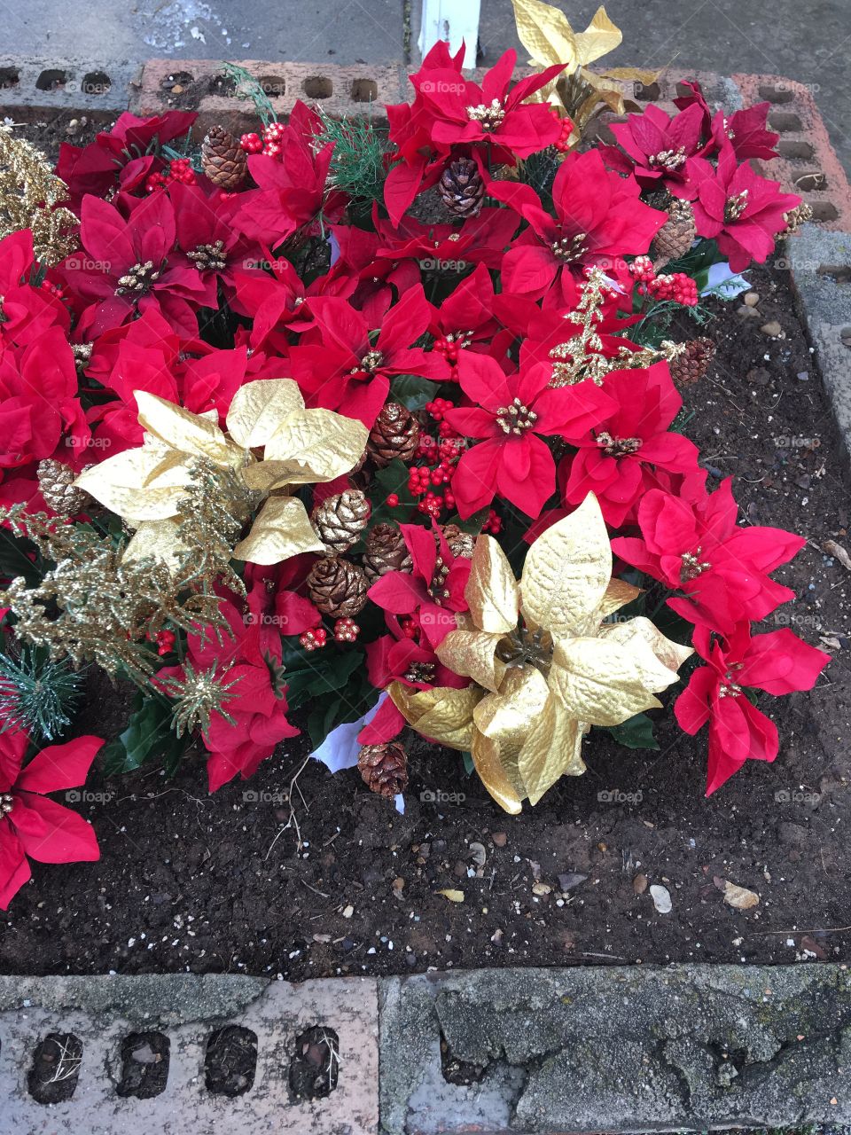 Someone has decorated the planters outside of the senior center! Looking a lot like Christmas!