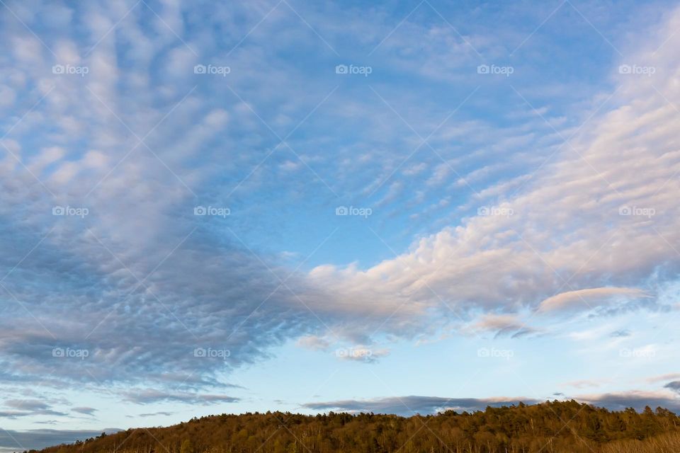 Beautiful cloud formation looking like a bird flying in the blue sky 