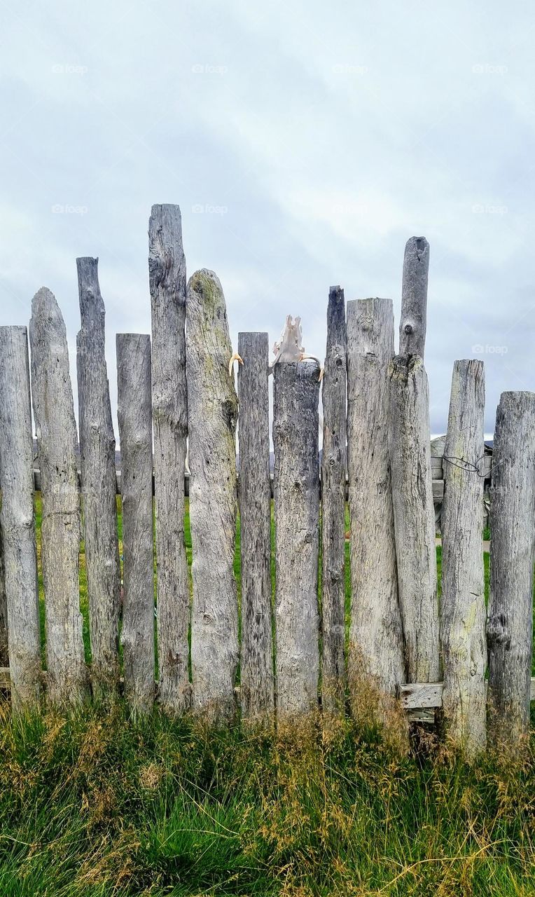 Old wooden fence