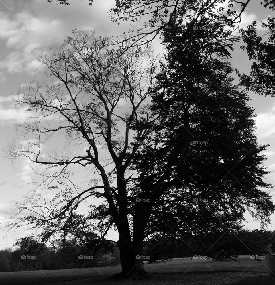 Dr Jekyll and Mr Hyde 