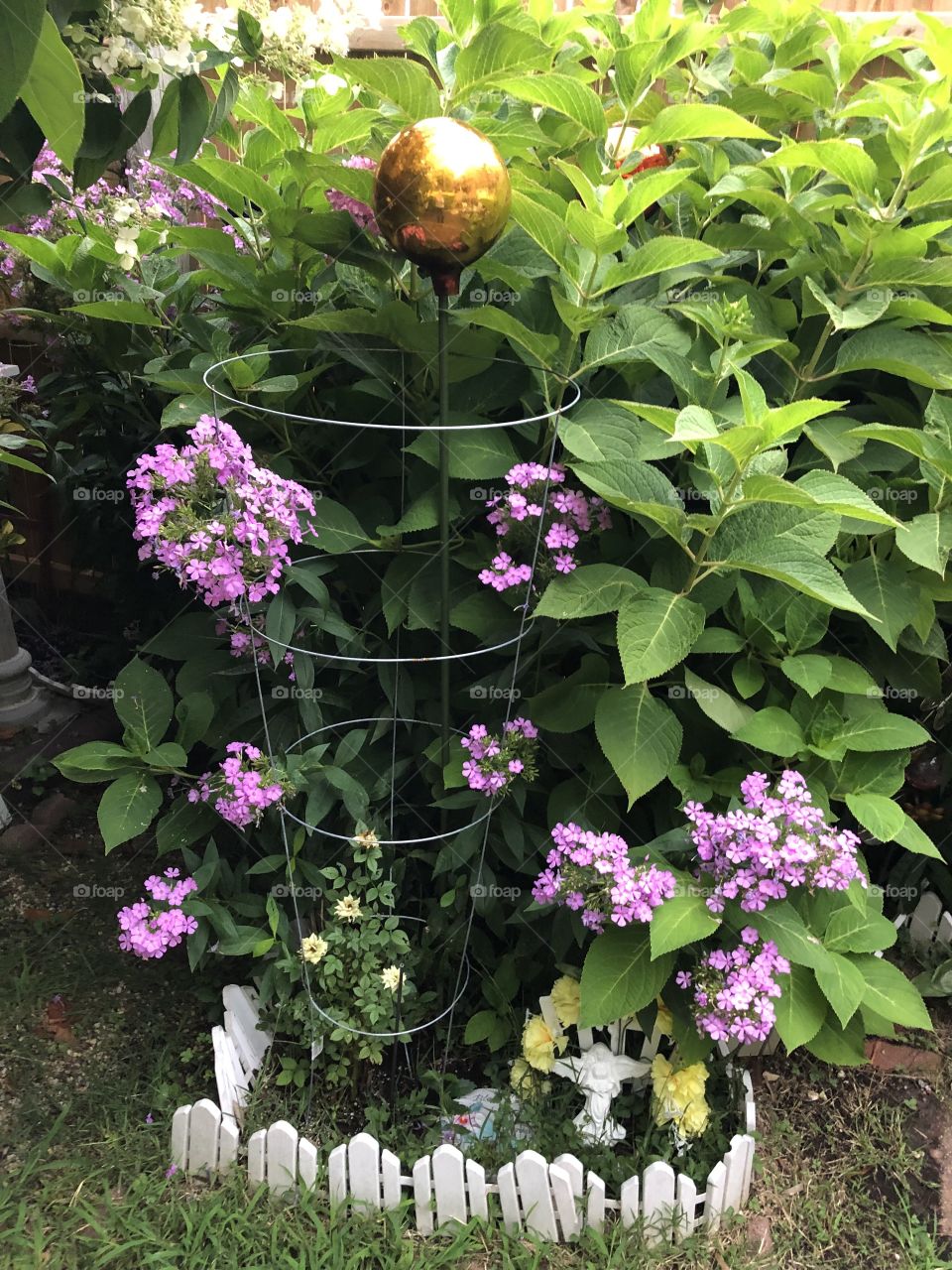 Flowers in the garden 