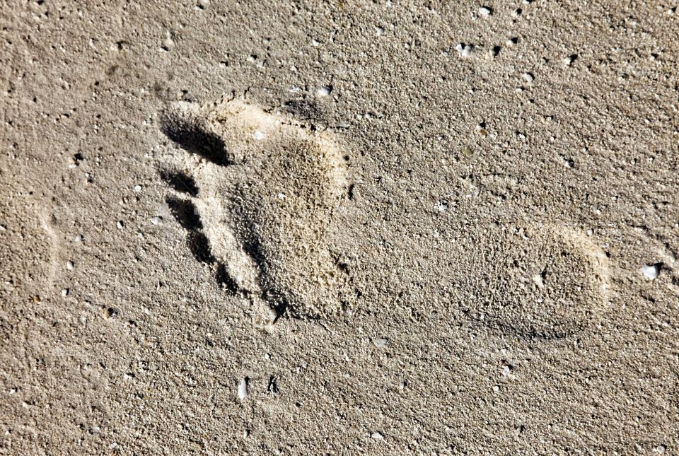 Footprint. Footprint in the sand