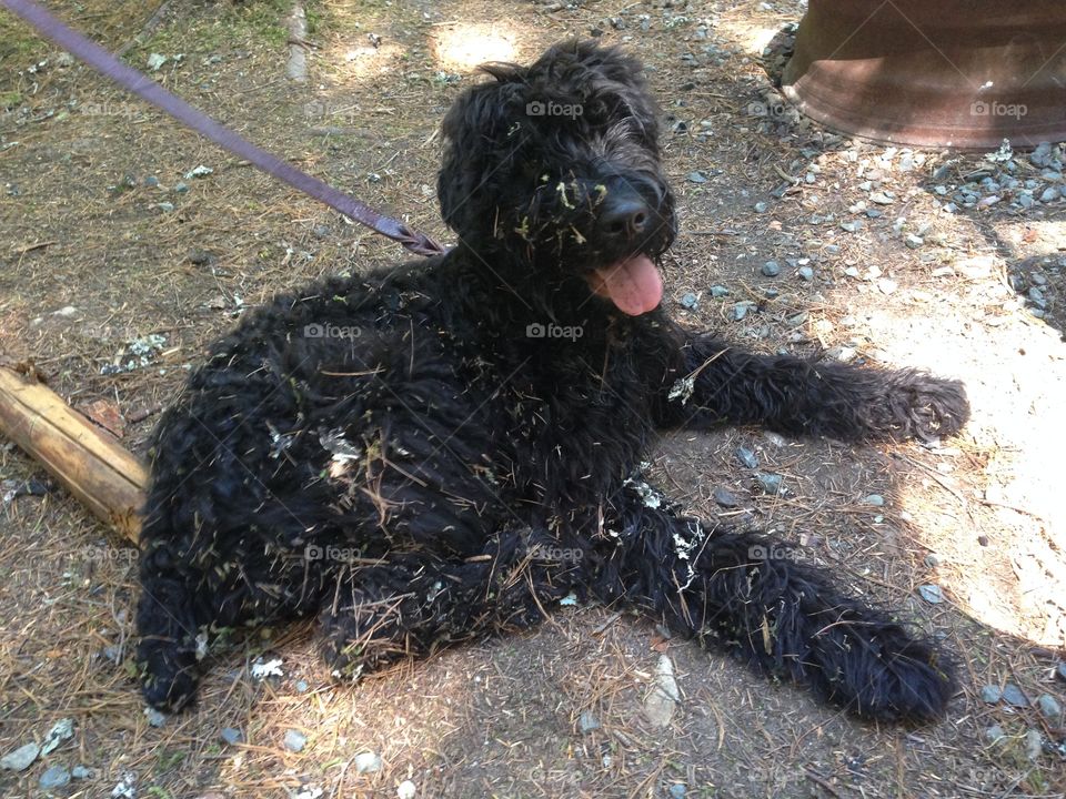 One, Portrait, People, No Person, Two