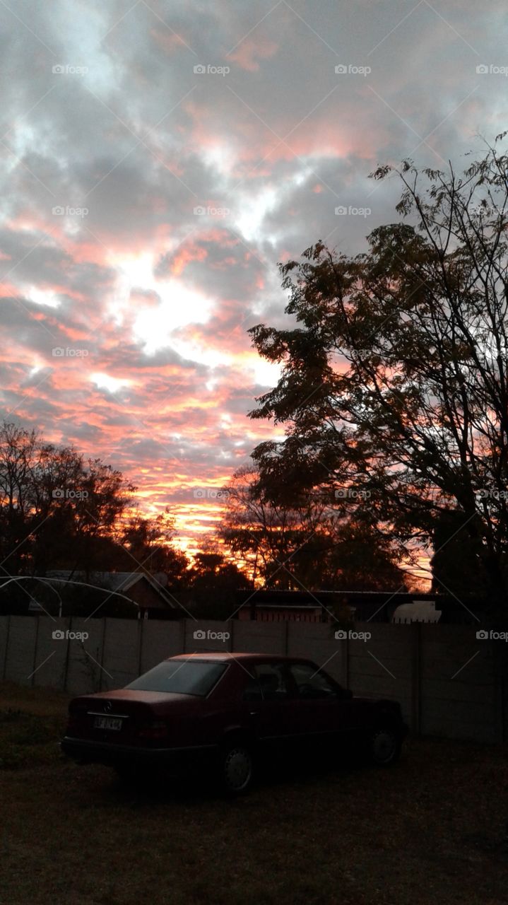 Hte nature is so beutiful