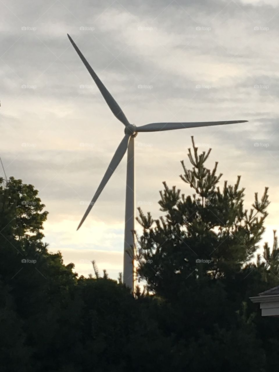 A wind turbine sits over the tree line just as the sun begins to set