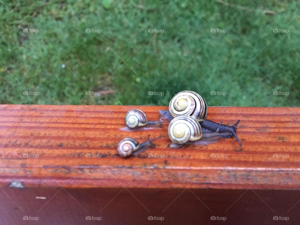 Ich liebe Dich mein Schatz 