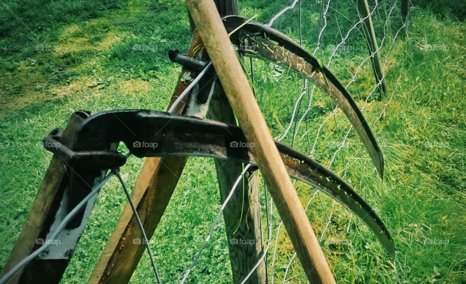 Scythes. Scythes and other tools resting against fence