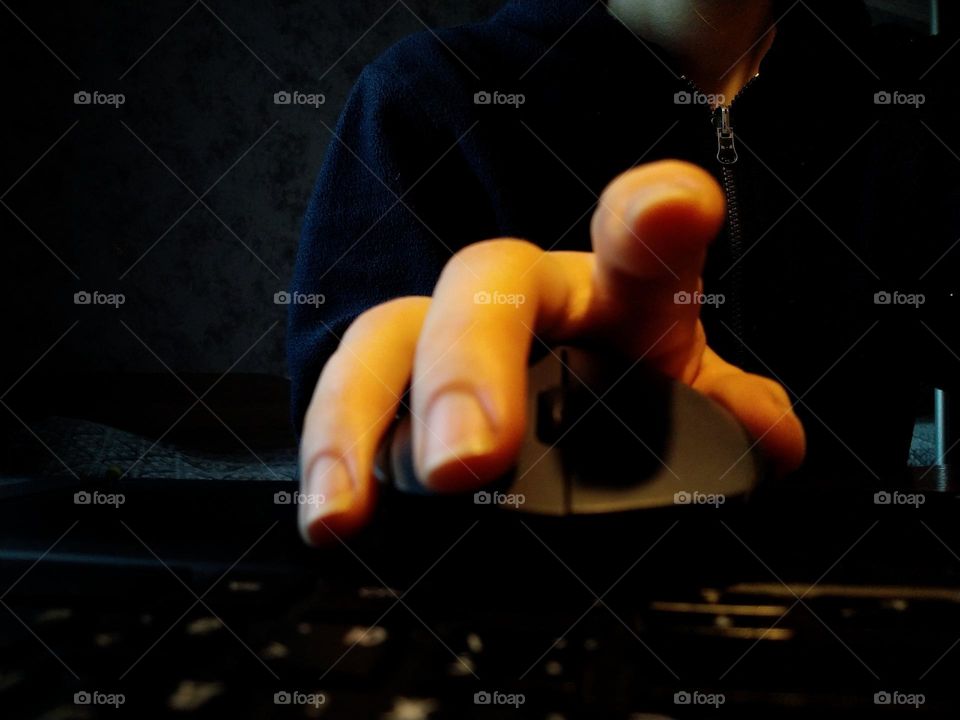 computer accessories: PC mouse