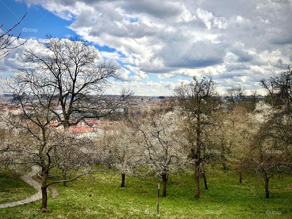 Prague , park March 2023 . 