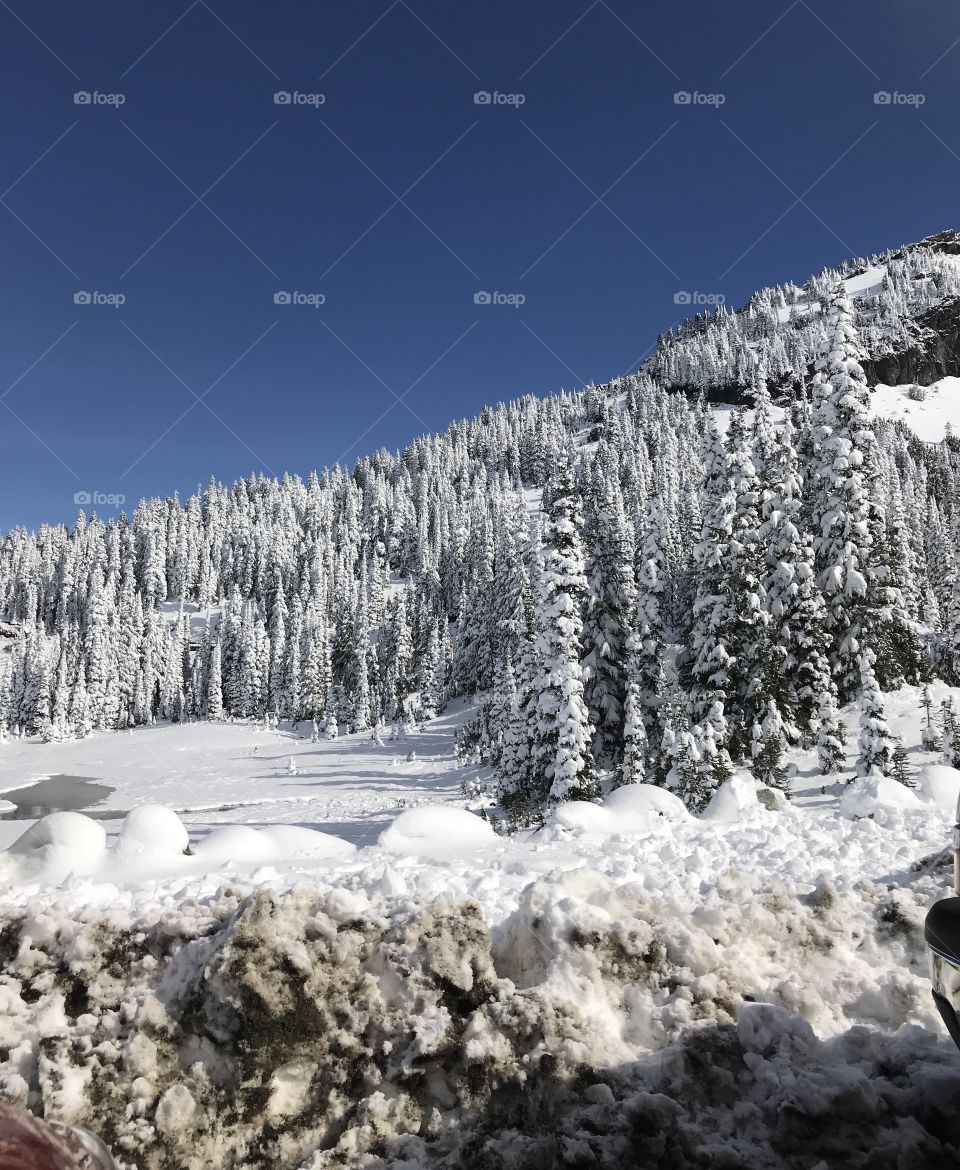 Snow, Winter, Cold, Frost, Wood