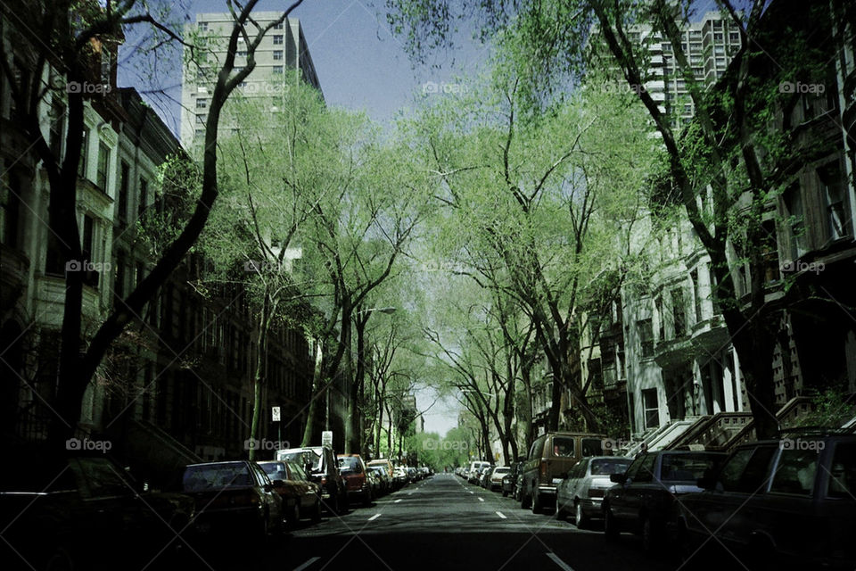 Center Park Brownstown