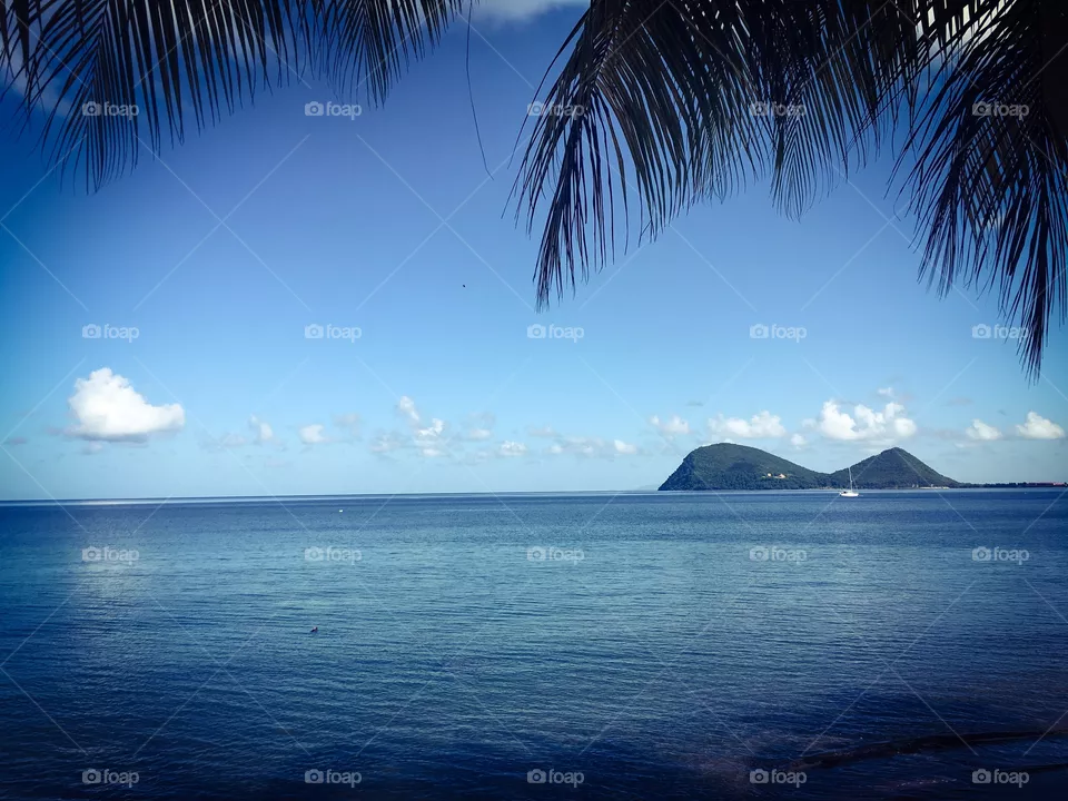 Paradise 