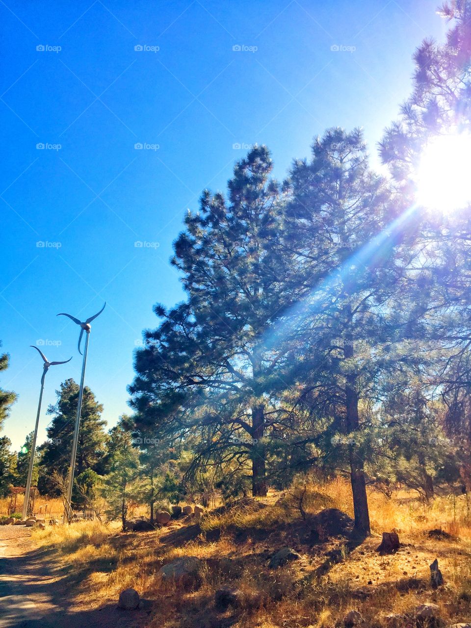 Beautiful morning ❤️