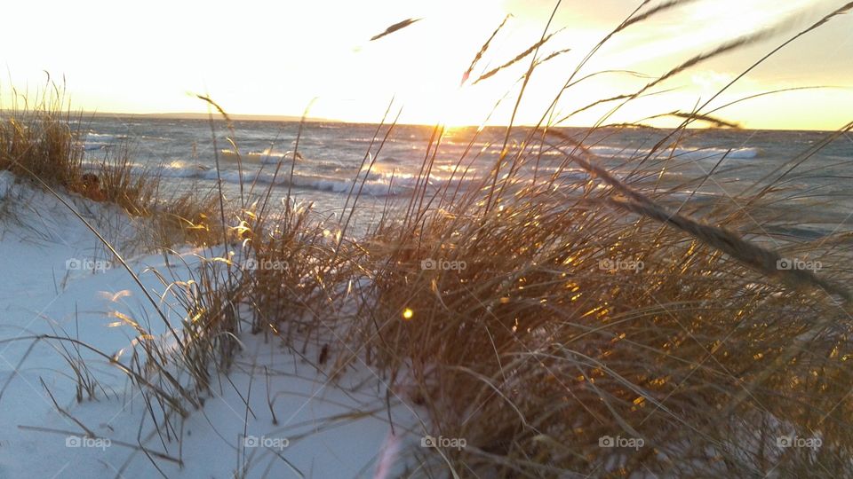 Northern Michigan 