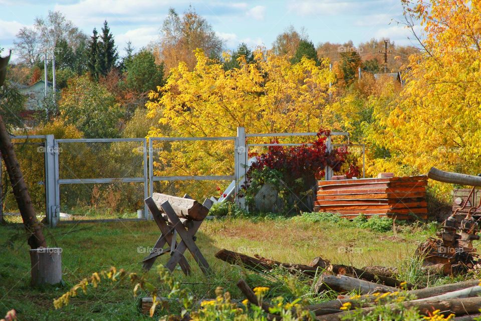 autumn landscapes and trees in colorful outfits