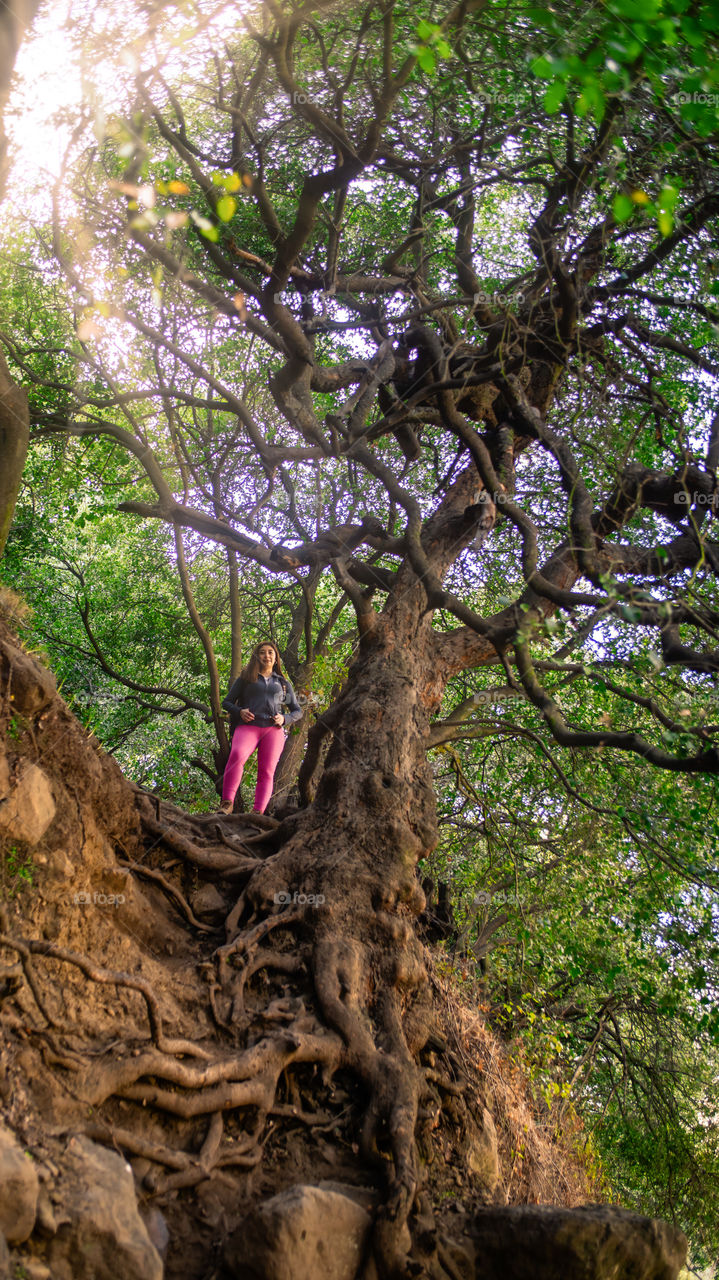 young woman at the tree