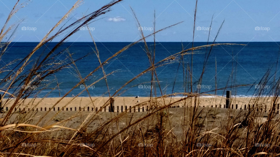 Rehoboth Beach