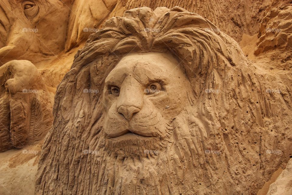 sand art lion