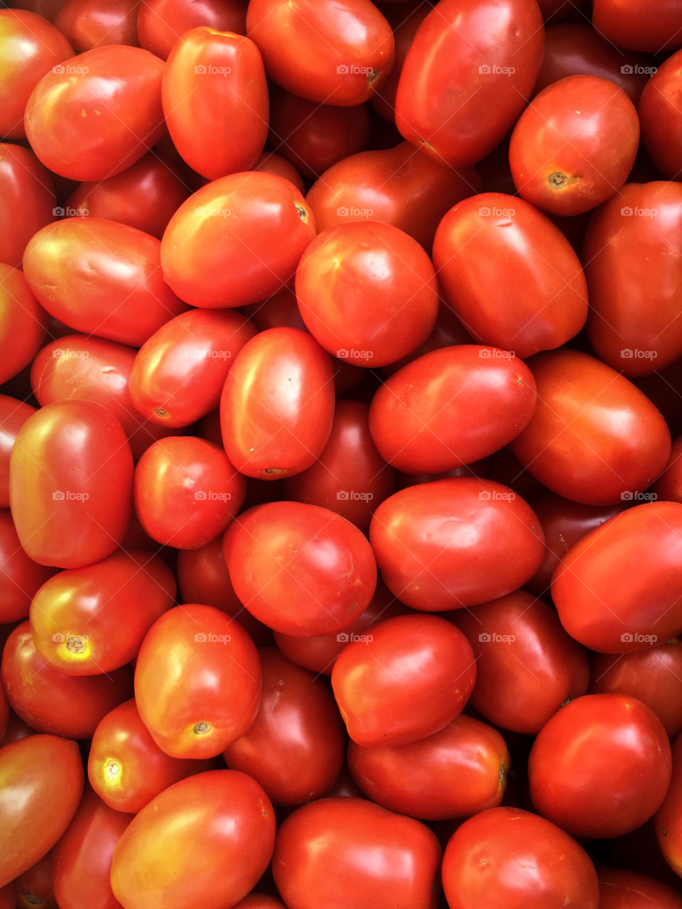 Tomatoes