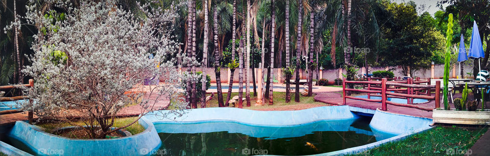 Um belo quintal com tanques para peixes e piscina.