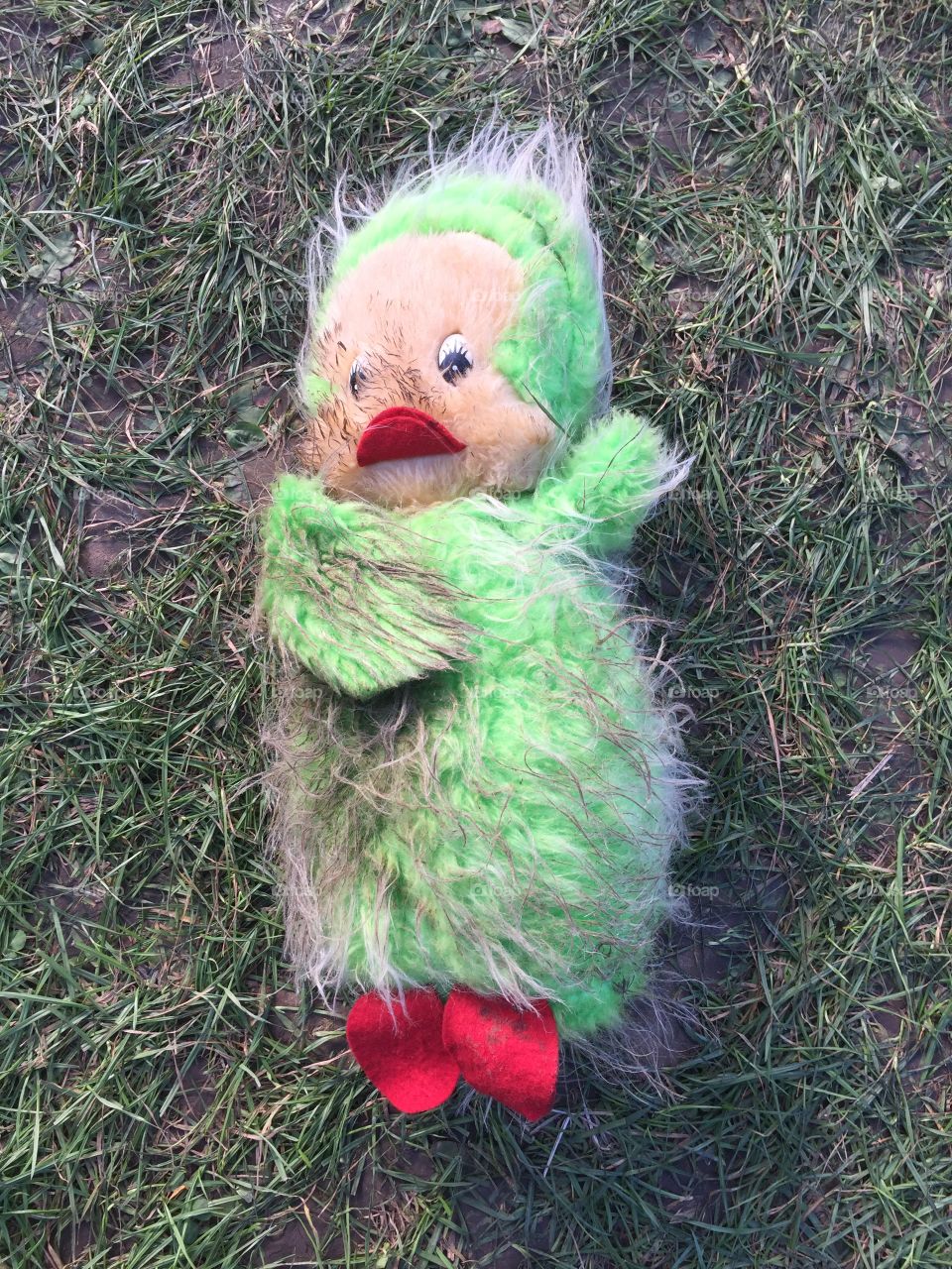 Abandoned soft toy Orville the duck