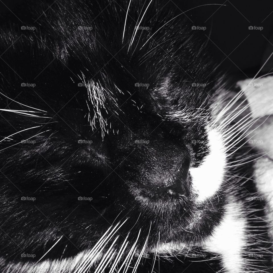 Dreaming in blacking and white.