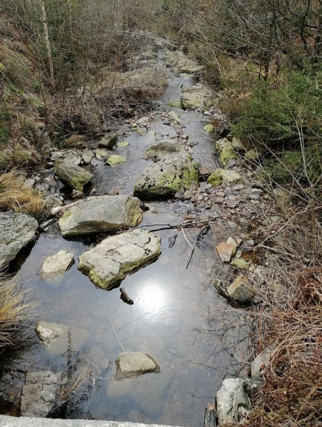 week end nature dans les Ardennes belge