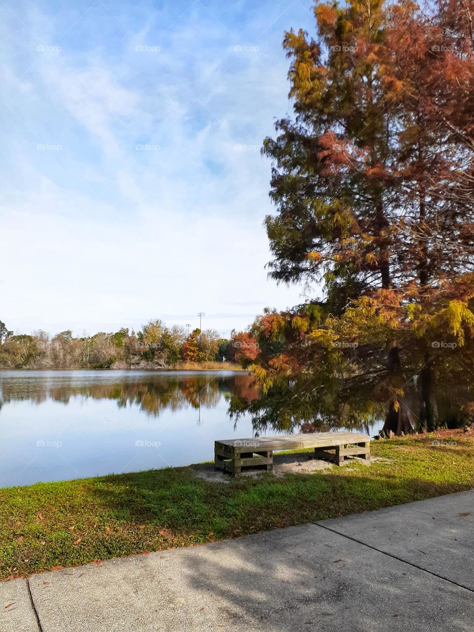 A park bench by the lake is a nice place to sit to enjoy the beauy that is Secret Lake Park in Casselberry, Florida.