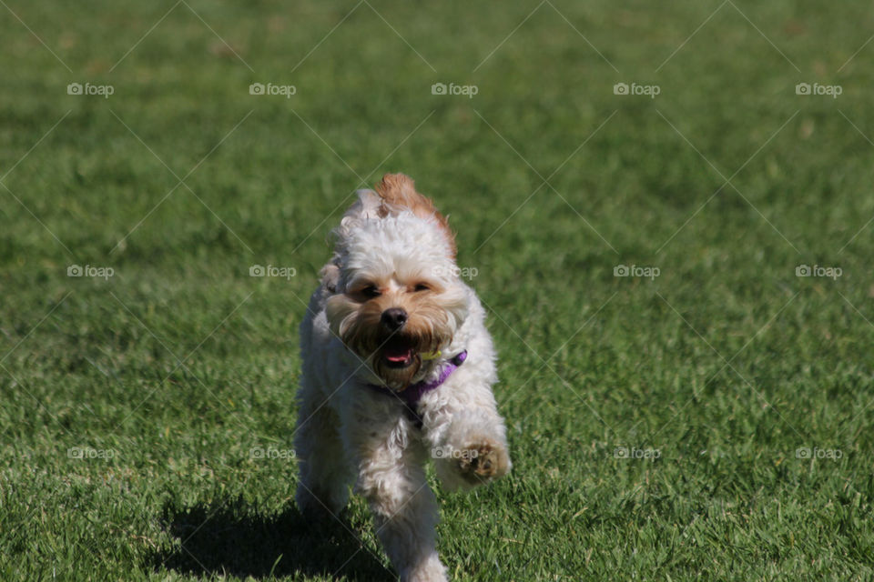 A run down the park for me.