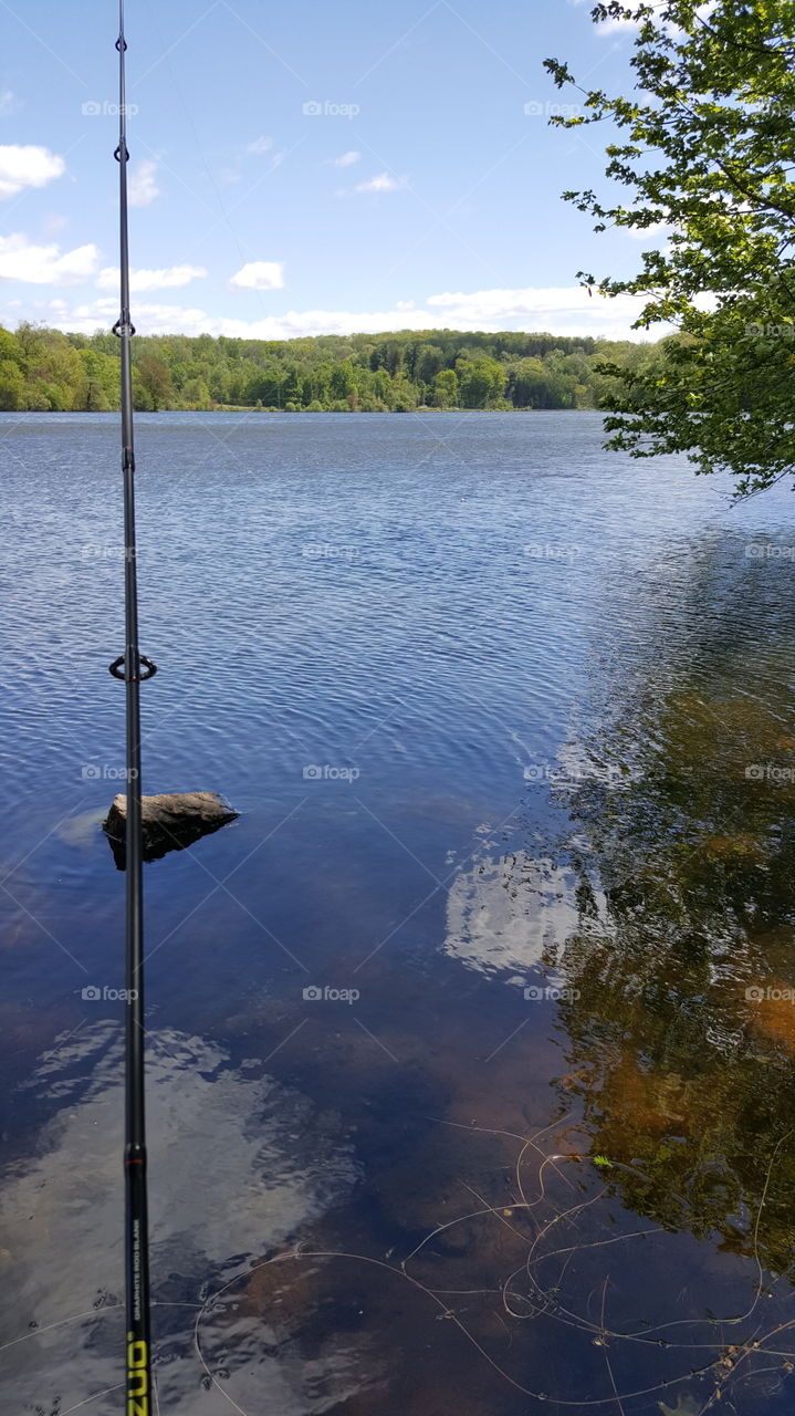 Fishing in the summer