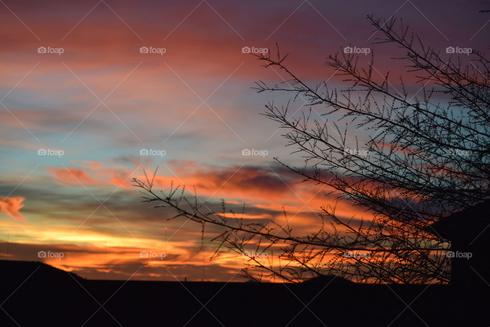 Sunset, Dawn, Sun, Silhouette, Landscape