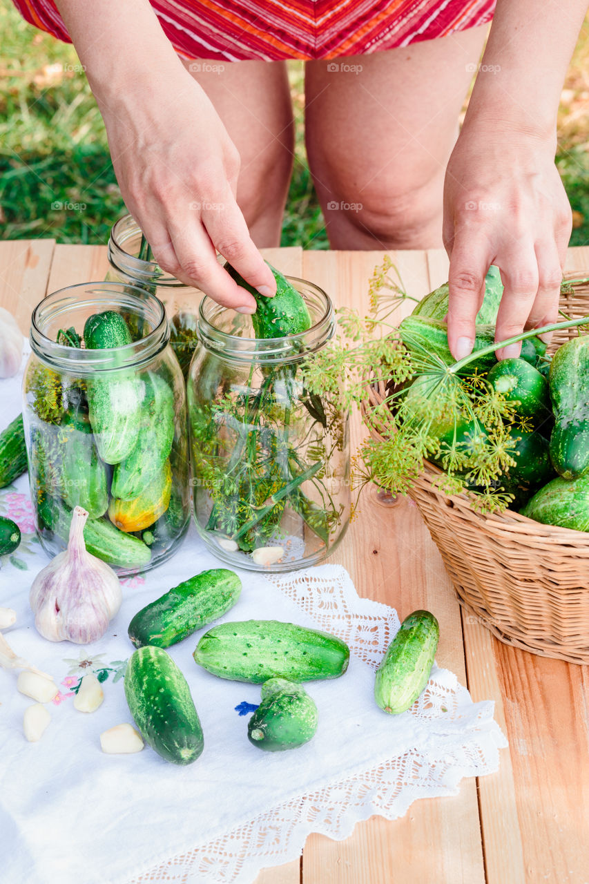 Pickling cucumbers. Pickling cucumbers with home garden vegetables and herbs