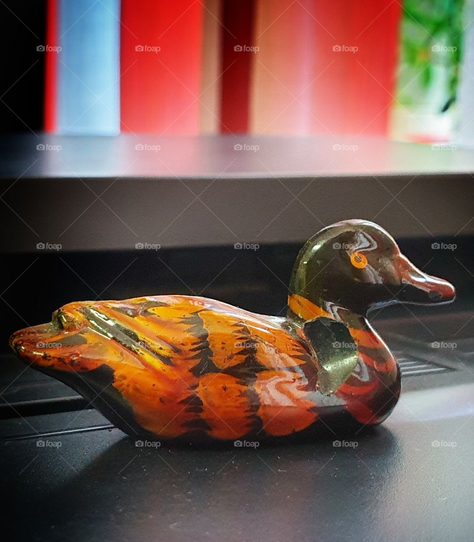Wooden duck