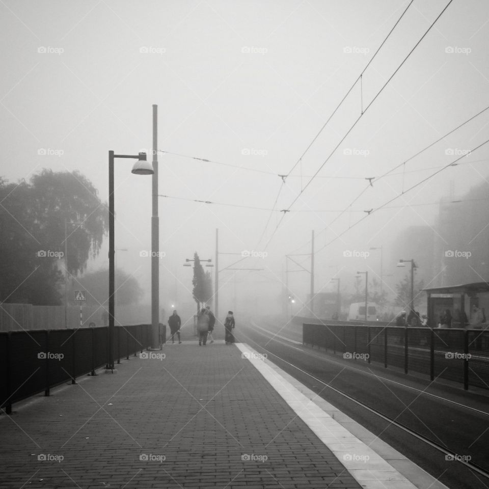 welcome autumn. Gothenburg, 2015