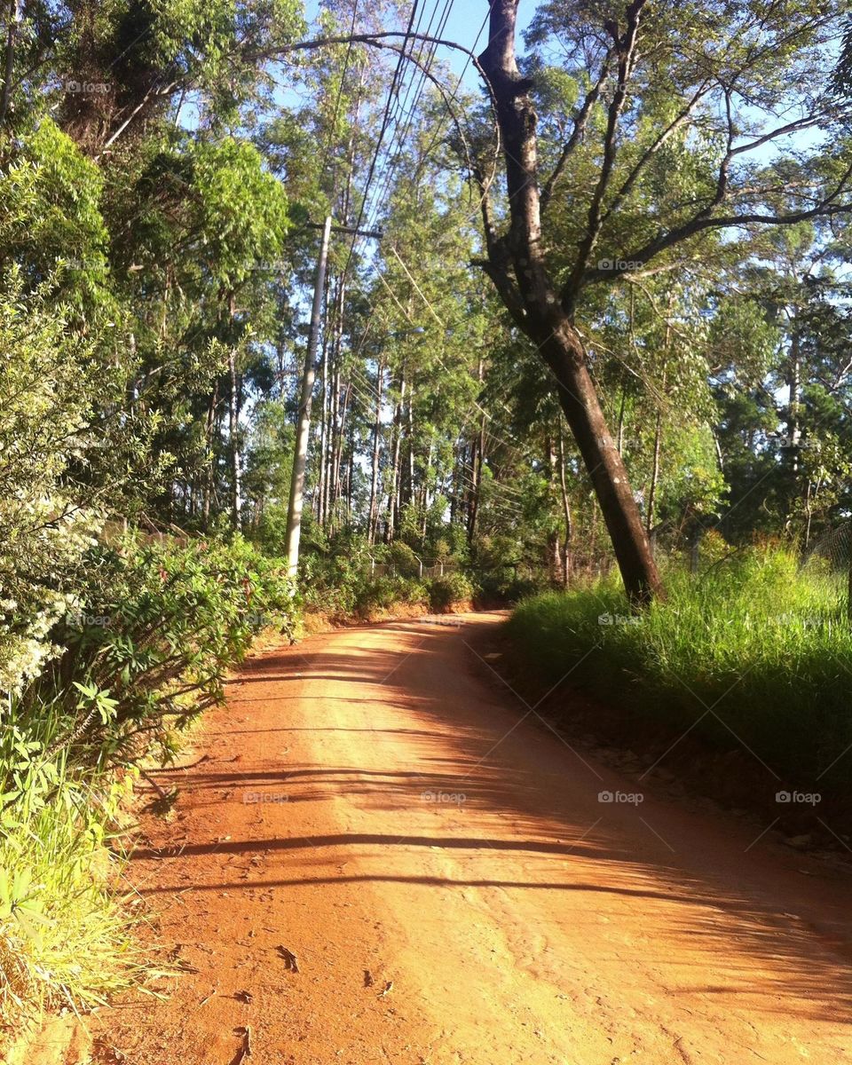 Qualquer paisagem bacana da natureza, vale a pena ser registrada.
Inspira ou não?
📸 #FOTOGRAFIAéNOSSOhobby