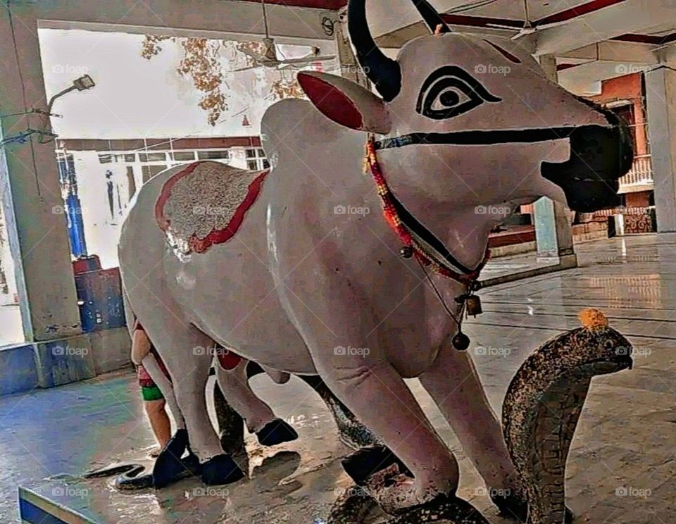 A most beautiful and attractive view in the tample.