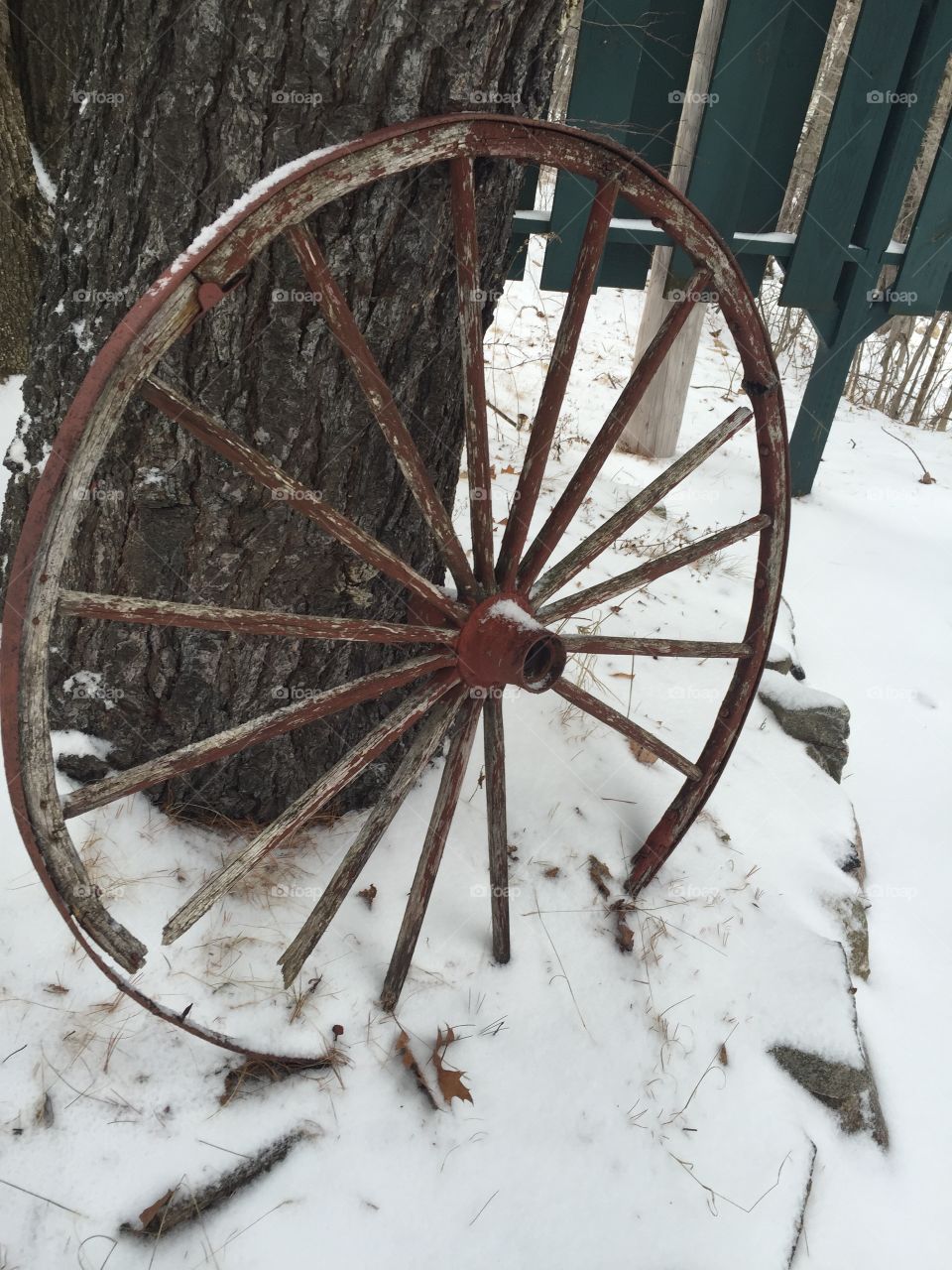 No Person, Winter, Wheel, Wood, Snow
