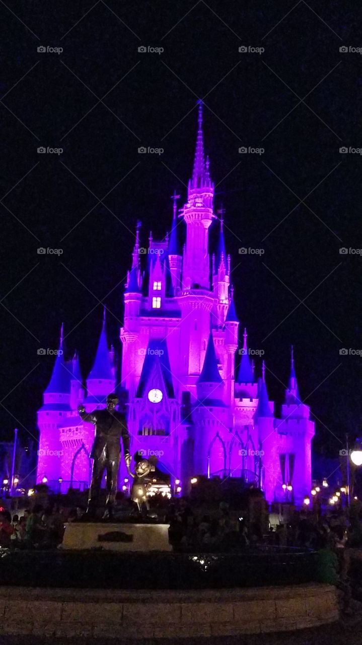 Cinderella's Castle at night