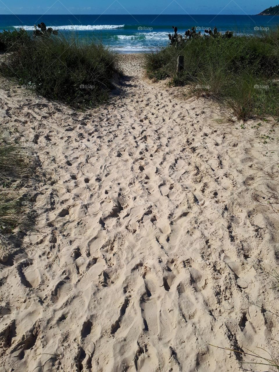 Best beaches in Brazil: Praia do Campeche, Florianopolis