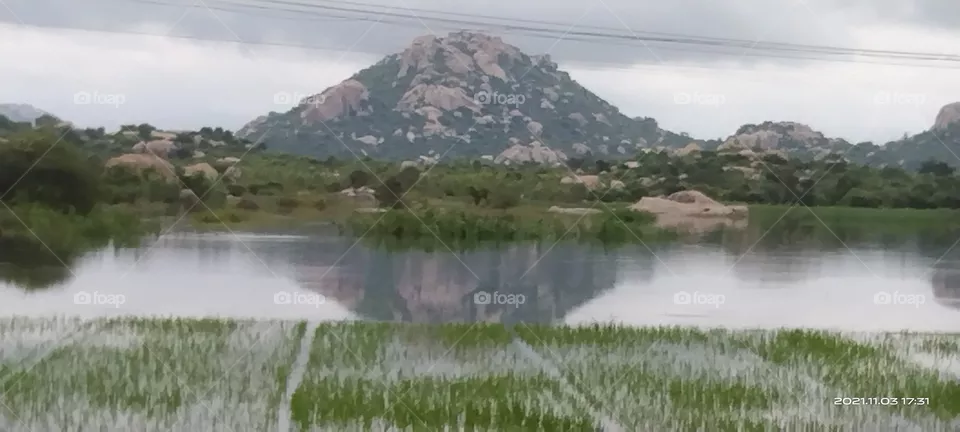 mountain