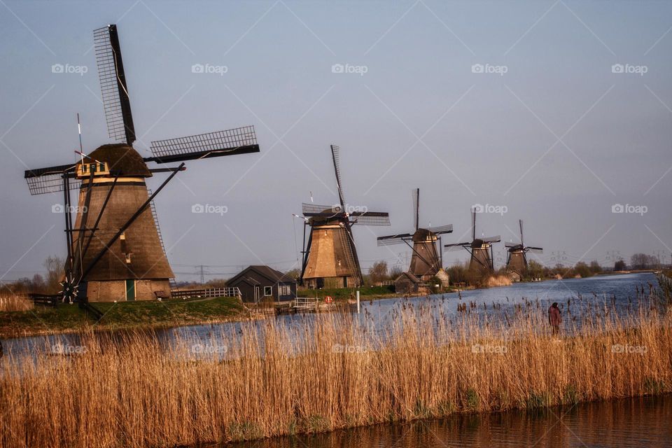 Line of windows at sunset hour I. Kinderdijk in the Netherlands.