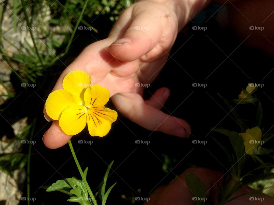 Grown by a three year old