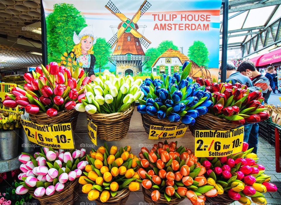 Tulips in Amsterdam