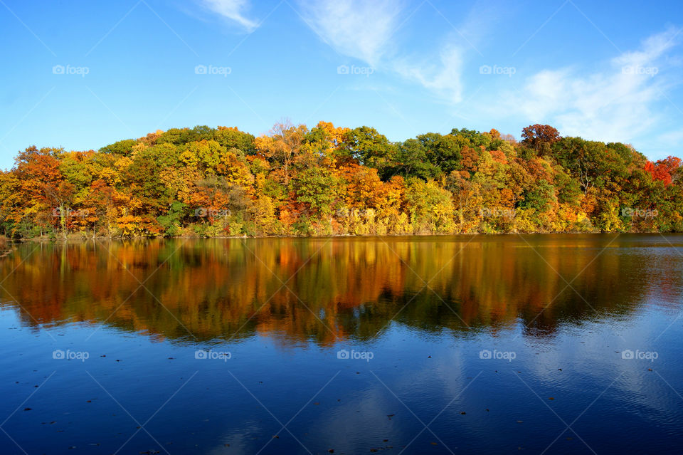 Autumn trees reflecting on lake