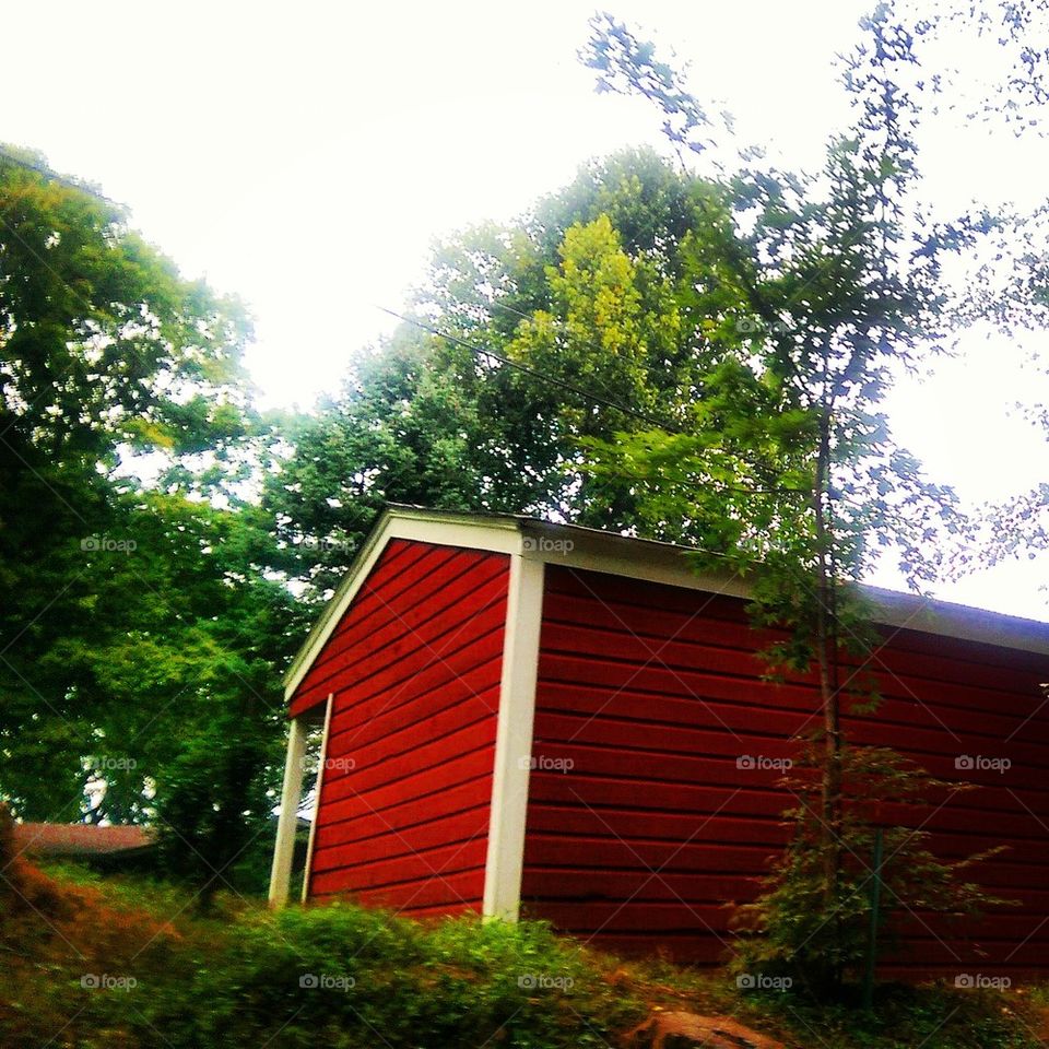 Roadside Shed