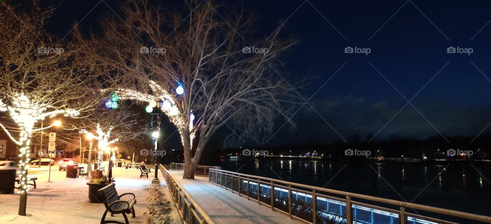 winter embankment with trees and decorations