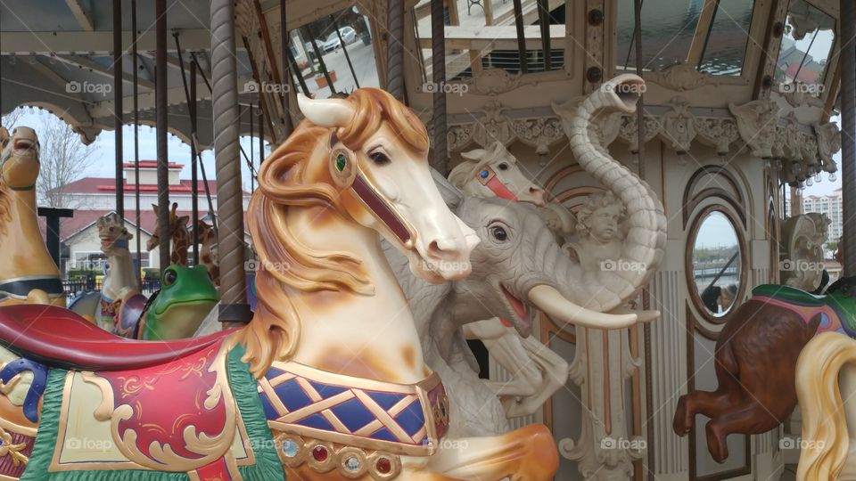 carousel horses and elephants